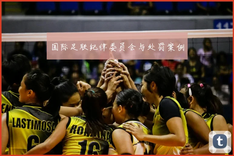 国际足联纪律委员会与处罚案例