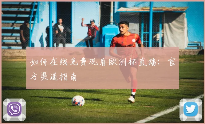 如何在线免费观看欧洲杯直播：官方渠道指南