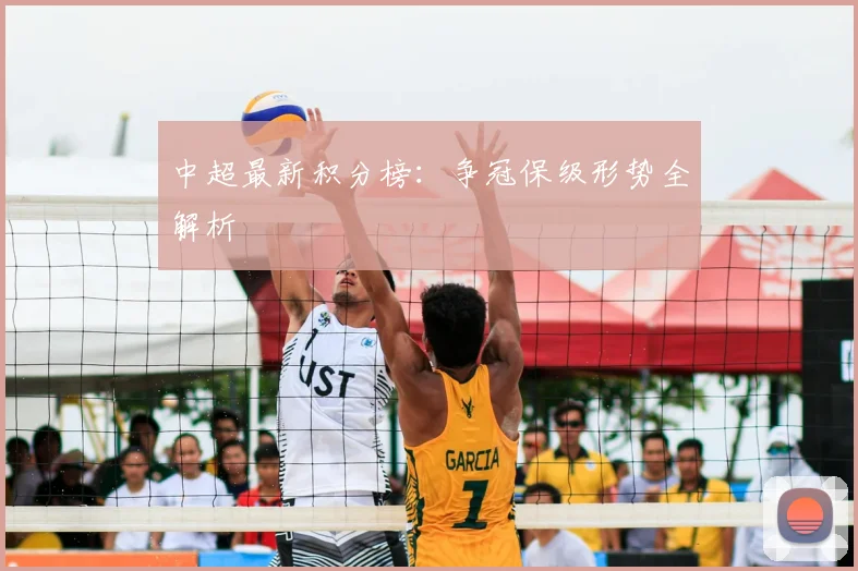 中超最新积分榜:争冠保级形势全解析